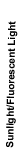 6.gif (722 bytes)